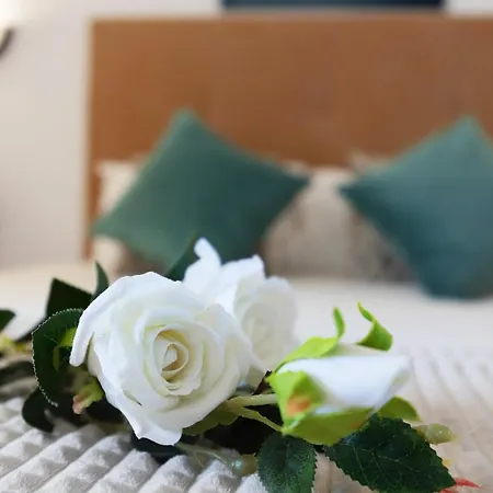 Rocha House 波尔蒂芒